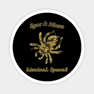 Igor & More Tarantula Liminal Stairs Yellow Magnet